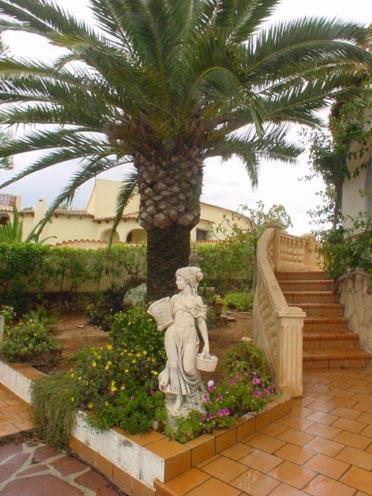 A garden outside Casa Resa