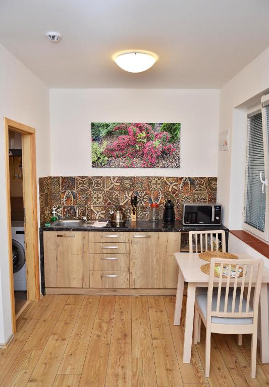 Kuchyň nebo kuchyňský kout v ubytování Apartmány Přítluky