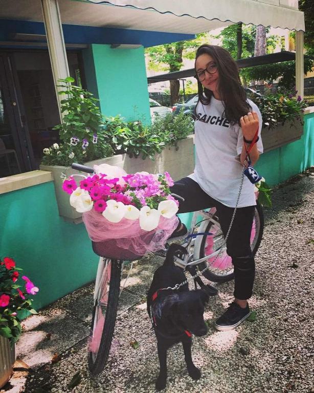 Domácí mazlíčci ubytovaní s hosty v ubytování Hotel Camay