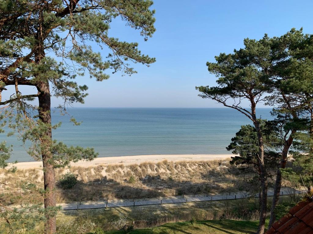 a view of the beach through the trees at Ferienwohnung Seeblick, Ferienanlage "Blaumuschel" in Lubmin