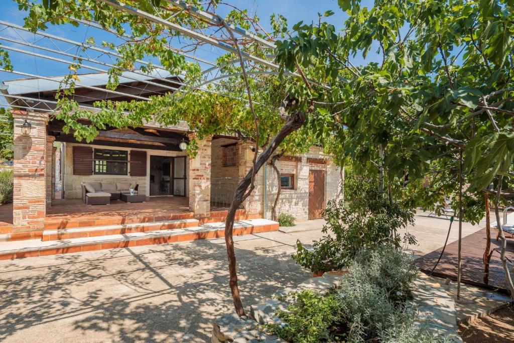 Zahrada ubytování Villa Didovi Dvori