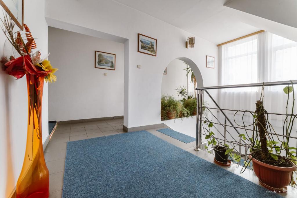 Fotografie z fotogalerie ubytování Hotel Iris v destinaci Tîrnăveni