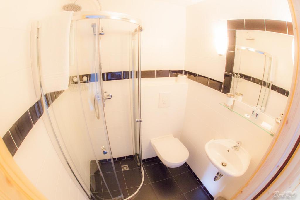 a bathroom with a shower and a toilet and a sink at Hotel Dirbach Plage in Dirbach