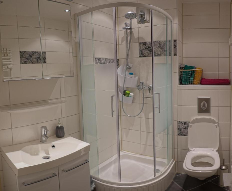 a bathroom with a shower and a sink and a toilet at 1 Zimmer Wohnung mit der Terrasse in der Innenstadt in Wiesbaden