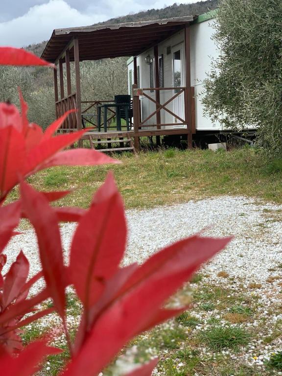 Zahrada ubytování Camping San Giusto