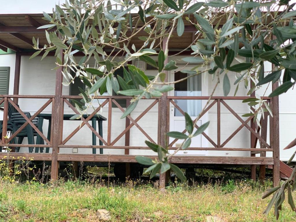 Zahrada ubytování Camping San Giusto