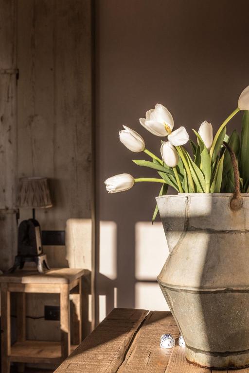 Borgo Antichi Orti Assisi - 3