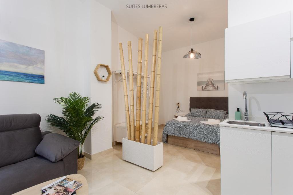 Kuchyň nebo kuchyňský kout v ubytování Suites Lumbreras