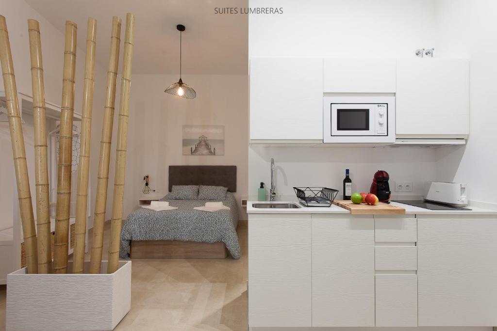 Kuchyň nebo kuchyňský kout v ubytování Suites Lumbreras