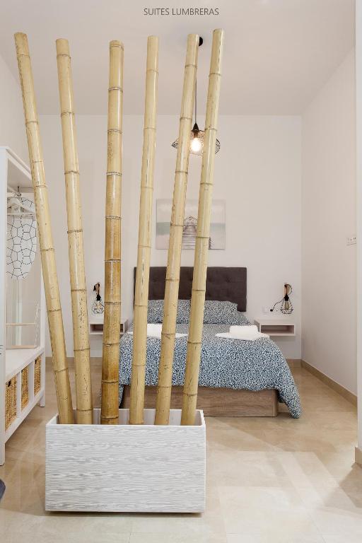 Postel nebo postele na pokoji v ubytování Suites Lumbreras