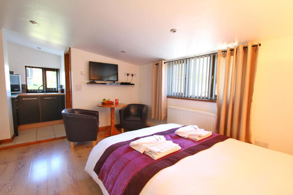 a bedroom with a bed and two chairs and a television at Sound of the River in Talgarth