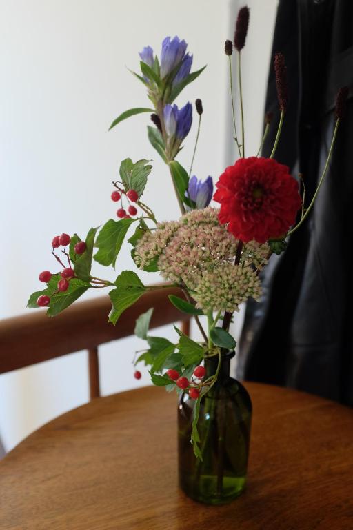 Logis Pastis - Resim 38