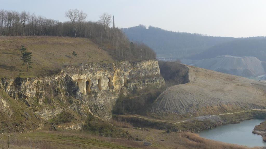 Logis Pastis - Resim 27