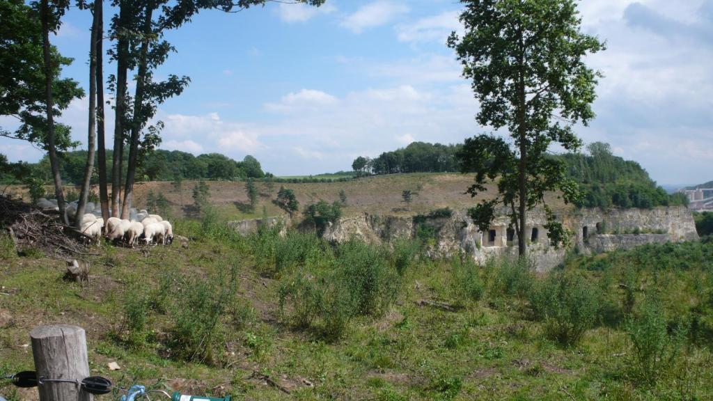 Logis Pastis - Resim 25