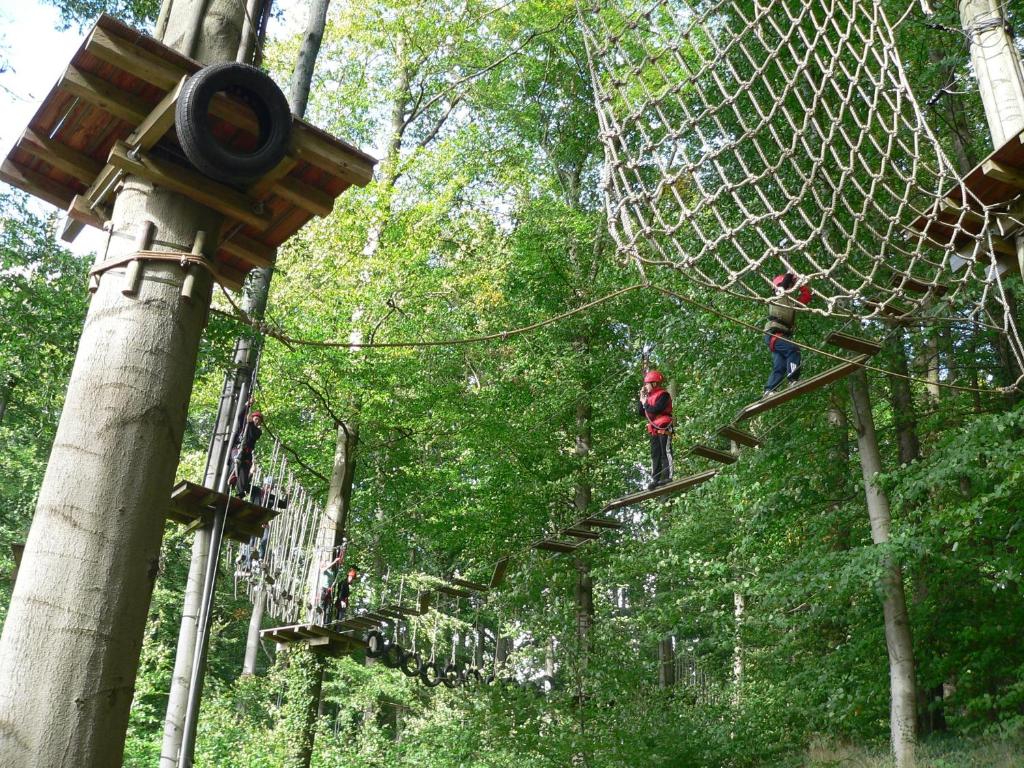 Hosté ubytování Villa Sonntag
