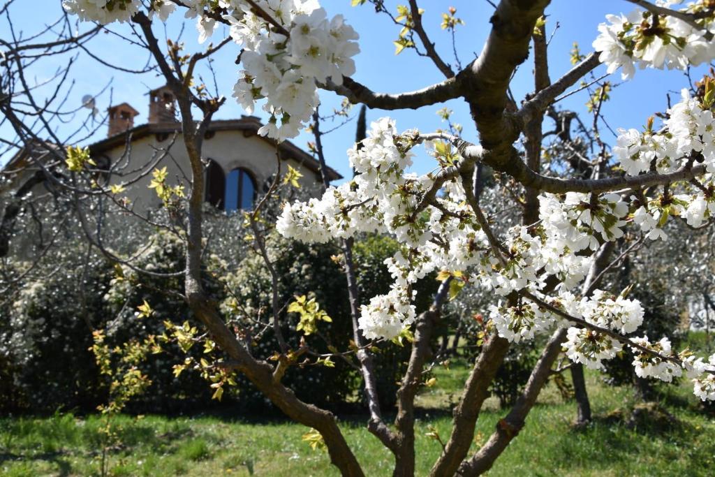 Vrt pred nastanitvijo Casa Vacanze Porta Vecchia