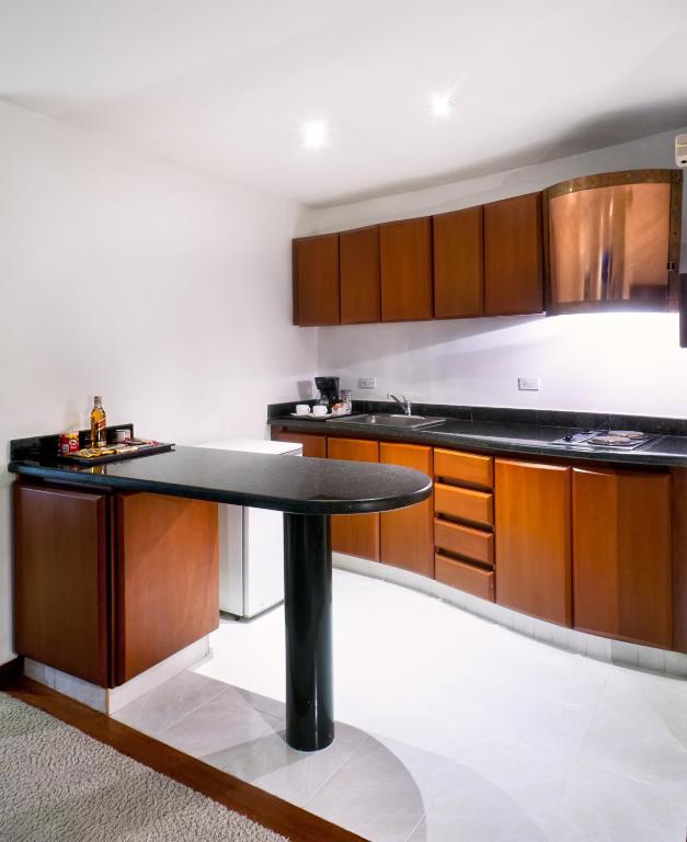 Kuchyň nebo kuchyňský kout v ubytování Richmond Suites Hotel