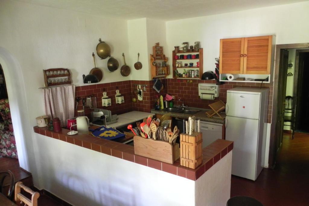 a kitchen with a counter with a sink and a refrigerator at Ferienhaus Himmelreichmühle in Rettenberg