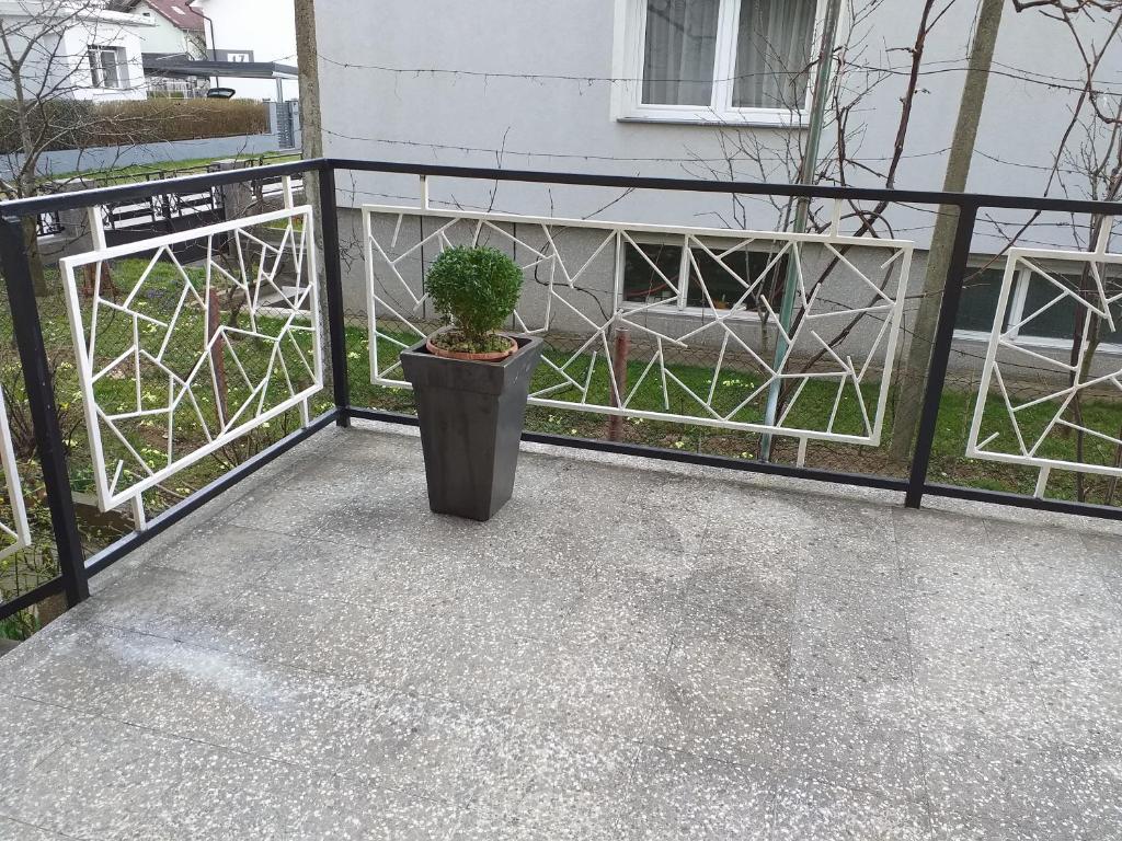 Fotografie z fotogalerie ubytování APARTMENT PRIMČEVA v Mariboru