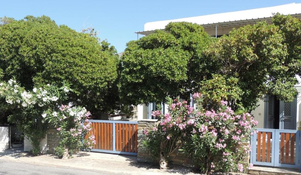 levante studios Αndros - Apartment With Balcony