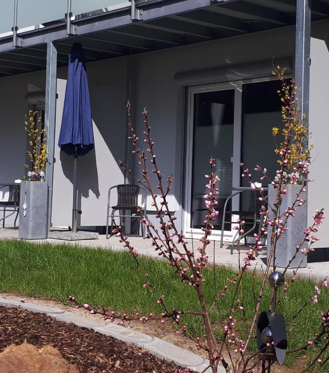 Zahrada ubytování Aparthotel-Stadtallendorf