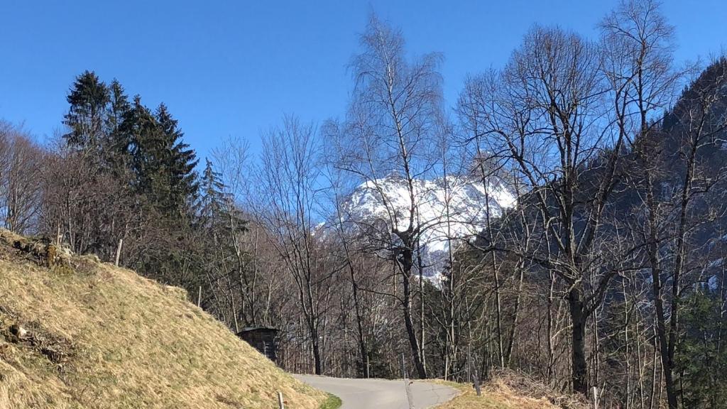 Loodusmaastik apartemendi lähedal