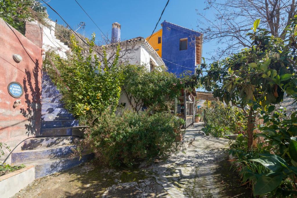 Zahrada ubytování Casa Cueva Muntasal