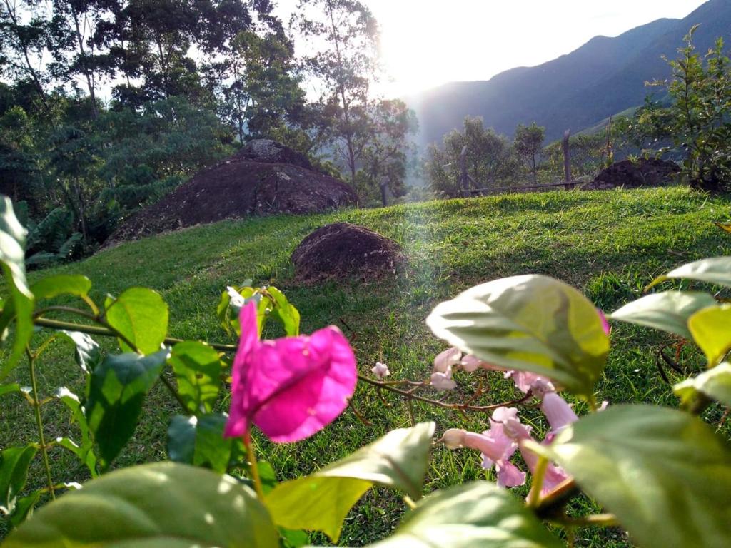  Pico das Montanhas
