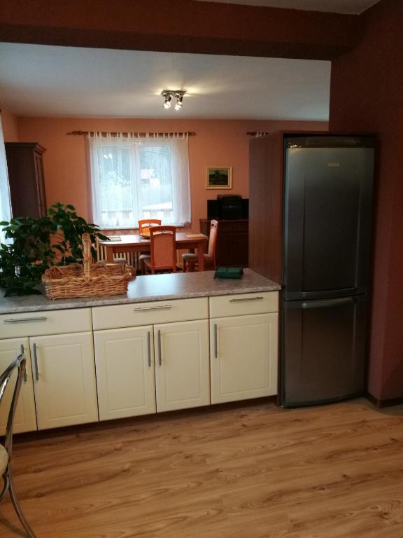 Kuchyň nebo kuchyňský kout v ubytování Nature Apartments