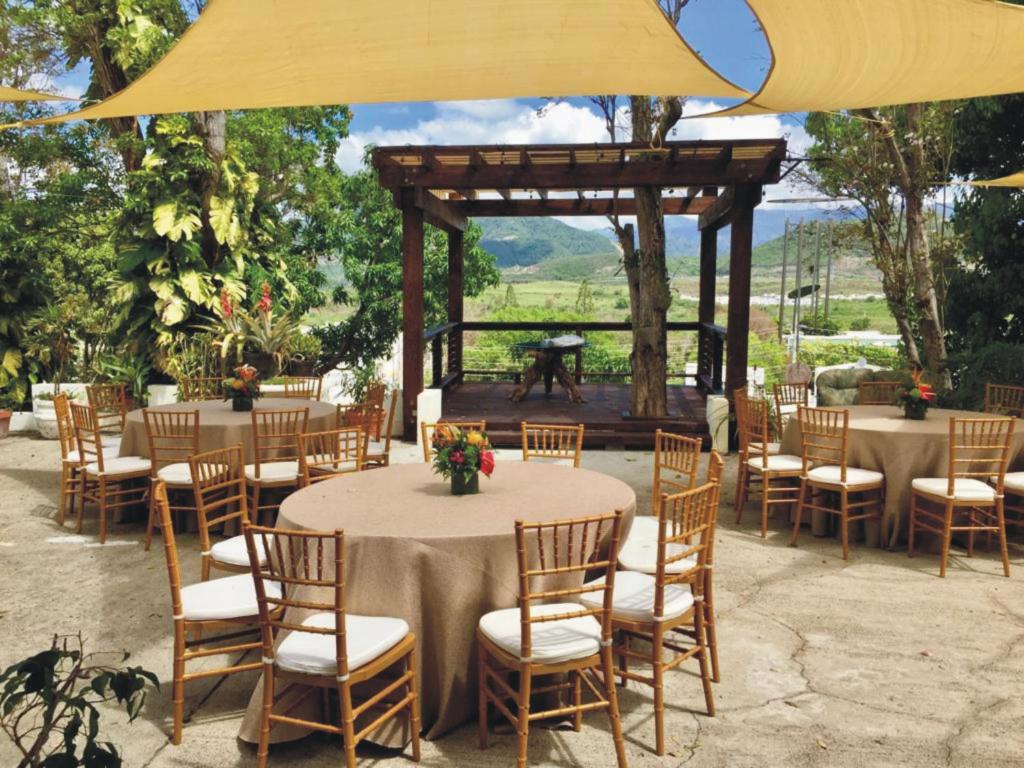 Restaurace v ubytování Villa Vassallo