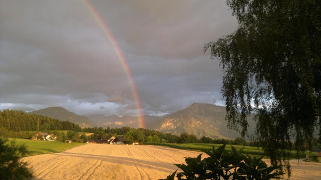 Hotel Sonnenhof - Resim 38