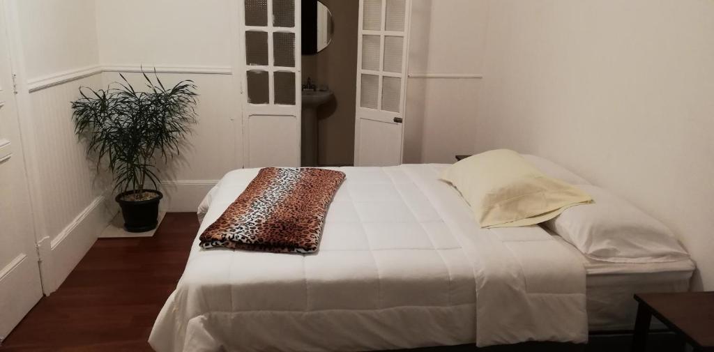 Postel nebo postele na pokoji v ubytování Casa Mayela Guest House
