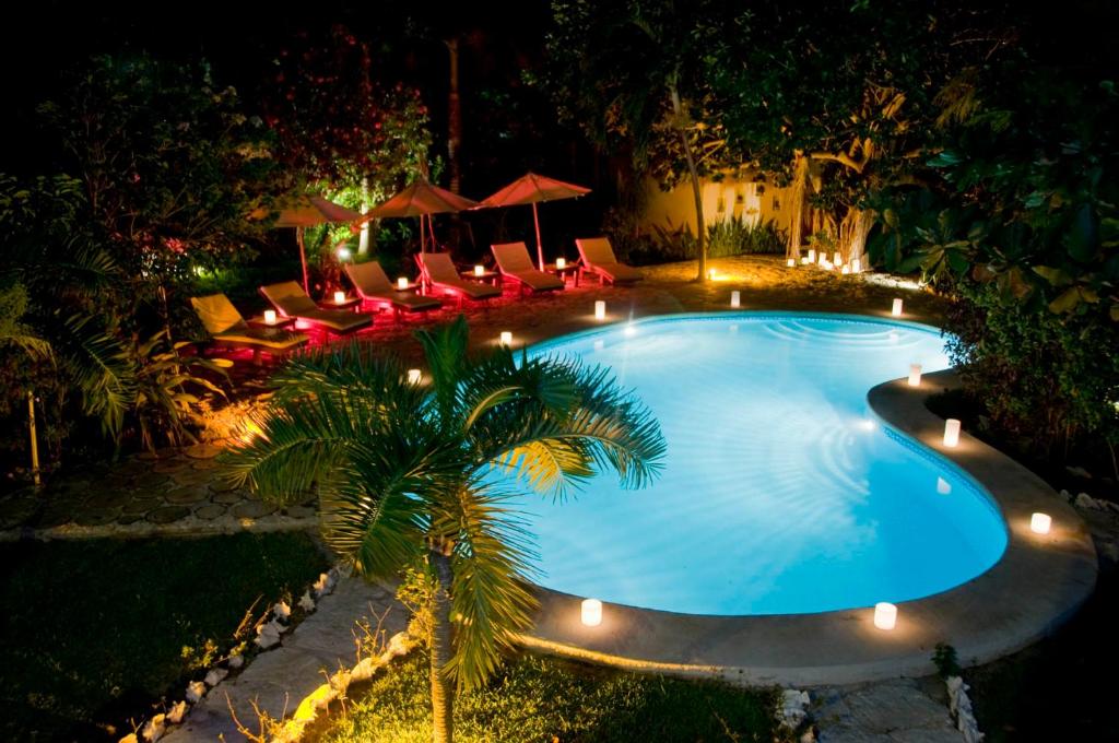 a pool with chairs and a palm tree at night at Na Balam Hotel in Isla Mujeres