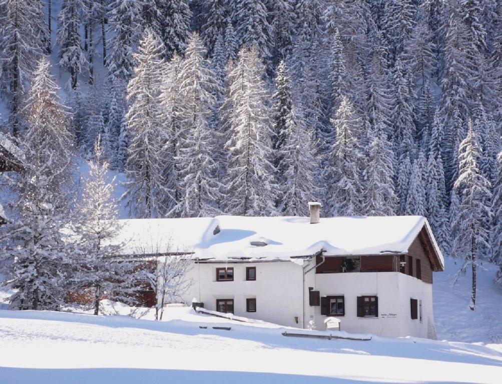 una casa bianca nella neve con alberi innevati di Fuldera Daint chasa Zanoli Whg im zweiten Stock a Fuldera