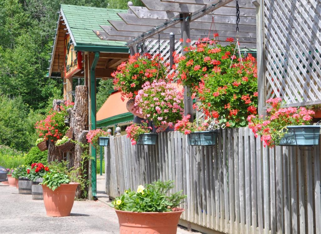 a fence with pots of flowers on it at Le Boisé du Lac in Mont-Tremblant