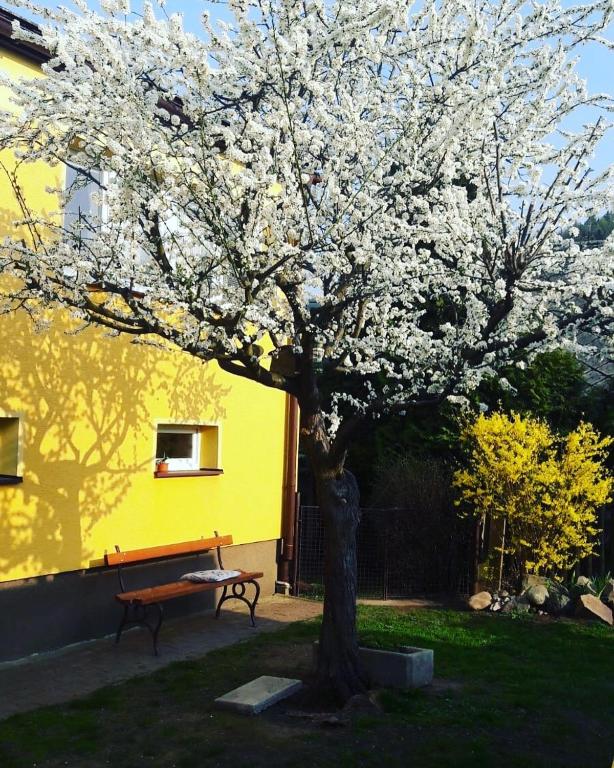Zahrada ubytování Apartmán Novákovi