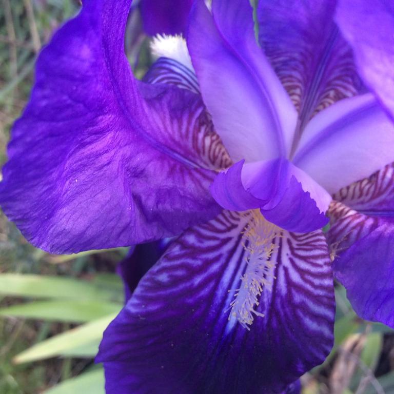 Fotografie z fotogalerie ubytování B&B Luce Viola v destinaci Dorgali
