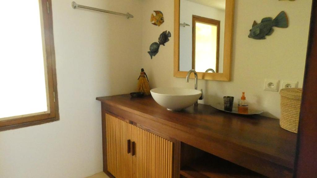 a bathroom with a bowl sink on a wooden counter at LE TRANSAT in Ambatoloaka