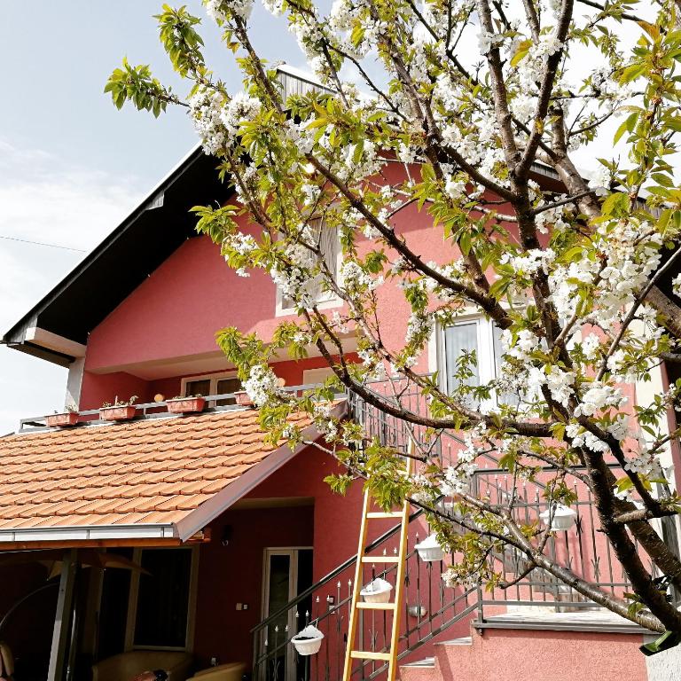Budova, kde se apartmán nachází