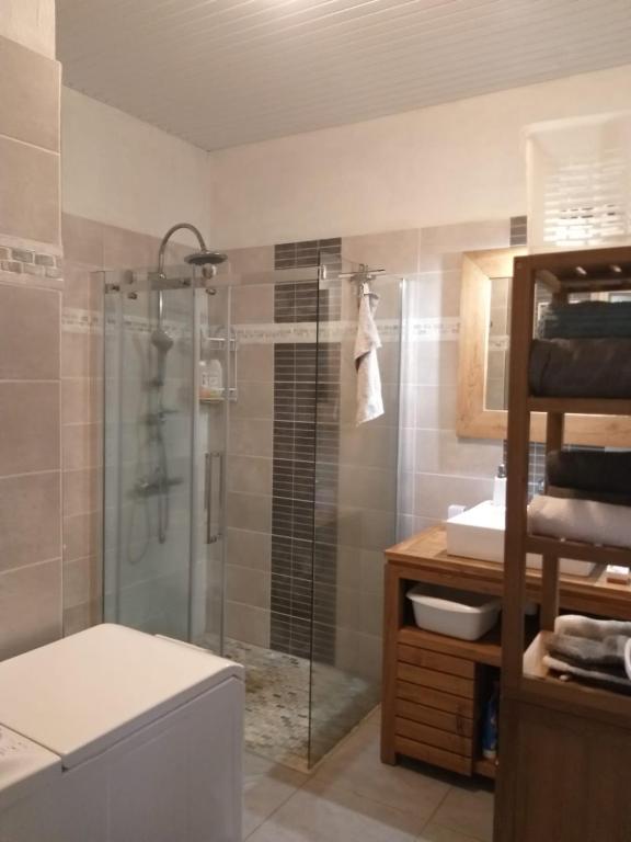 Koupelna v ubytování Charmant F2 classé, belle vue mer, spa, piscine, bateau