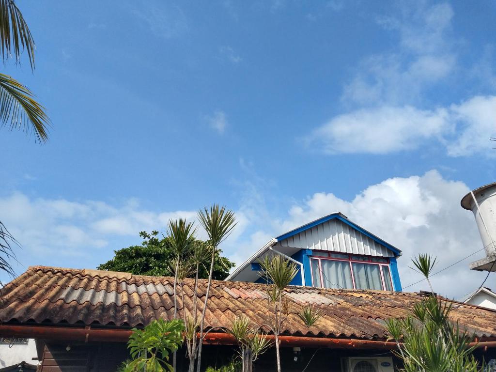 a house with a blue roof and palm trees at Apartamento Sailodge.com in San Andrés