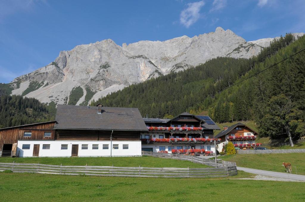 a building in a field with mountains in the background at Feichtlehnerhof in Ramsau am Dachstein