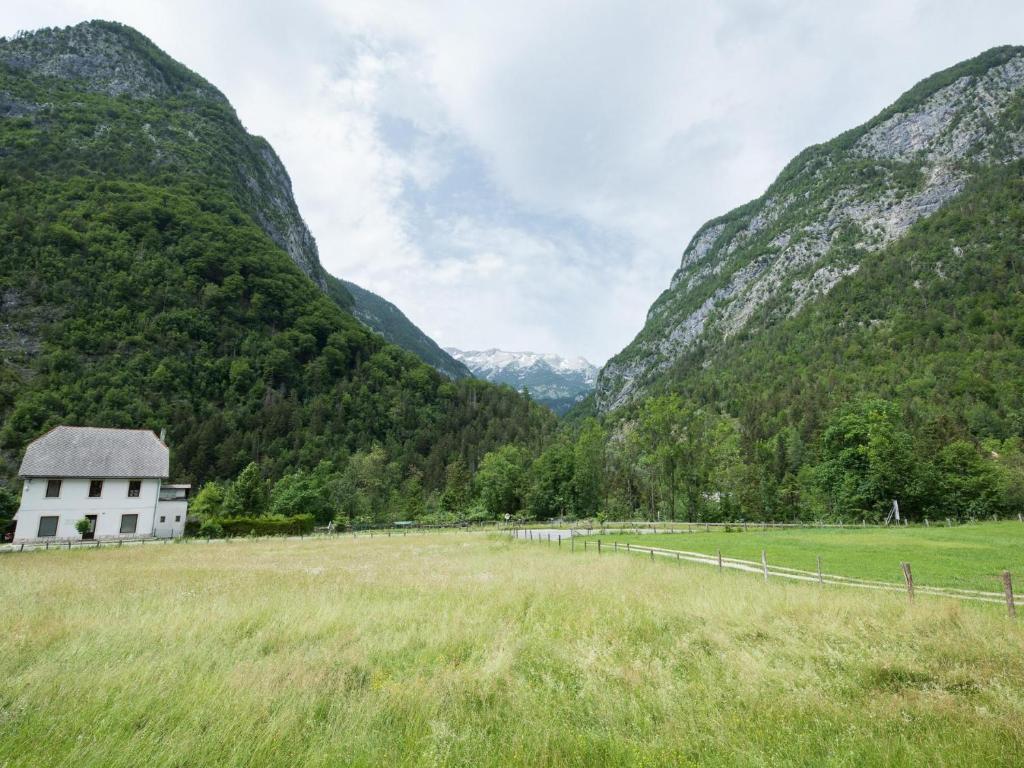 Příroda nedaleko apartmánu