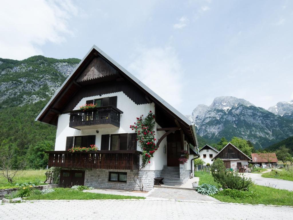 Příroda nedaleko apartmánu