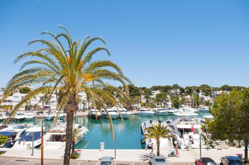 a view of a marina with palm trees and boats at Apartamento Porto Cari 21 in Cala d´Or