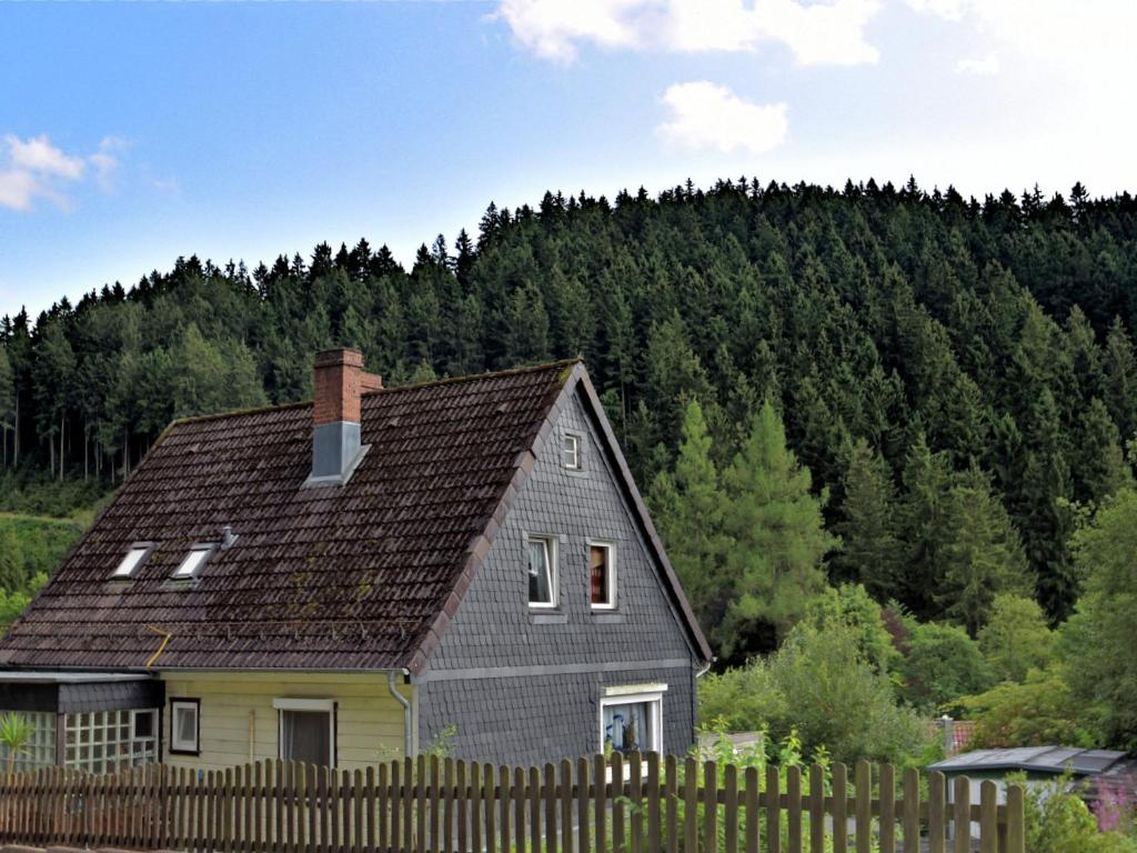 a house with a fence in front of a mountain at Pleasant Apartment in Wildemann amid Forest in Wildemann