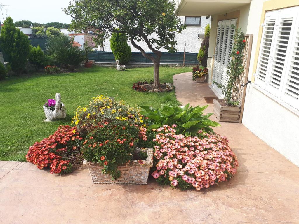 A garden outside Bed and Breakfast Angolo Fiorito