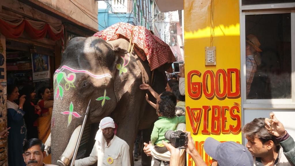 an elephant with paint on it walking down a street at Good Vibes hostel in Varanasi