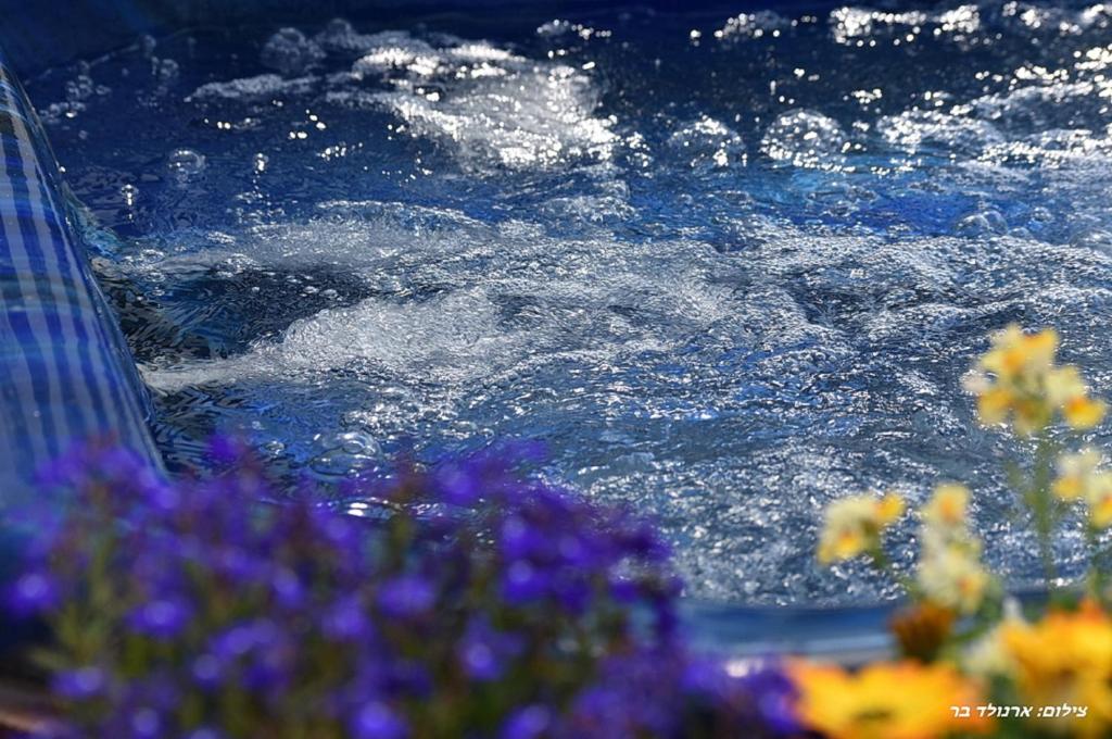 Fotografie z fotogalerie ubytování Agama v destinaci Livnim