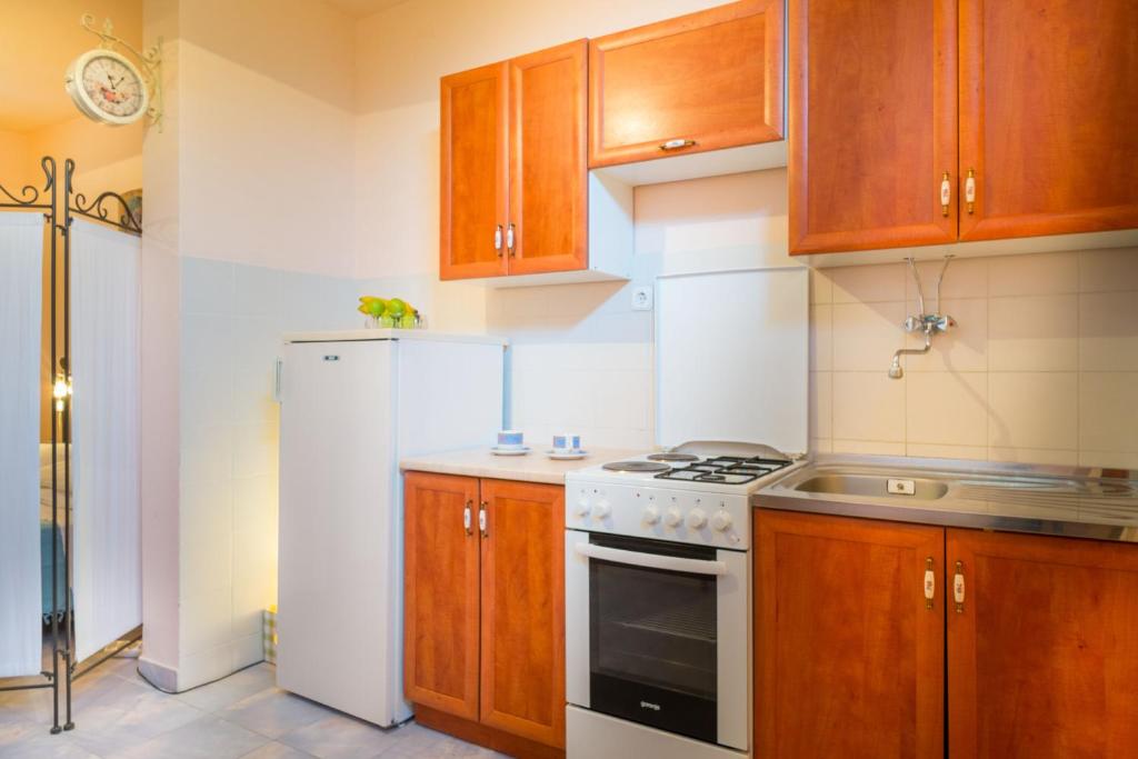 Kuchyň nebo kuchyňský kout v ubytování Silver Beach Apartments Vis